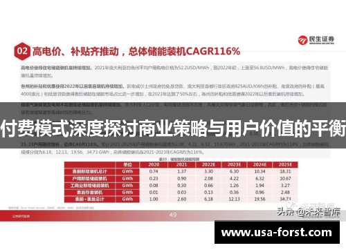 付费模式深度探讨商业策略与用户价值的平衡